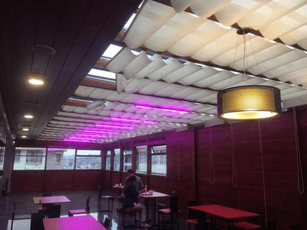 Cafetería - Imagen 4